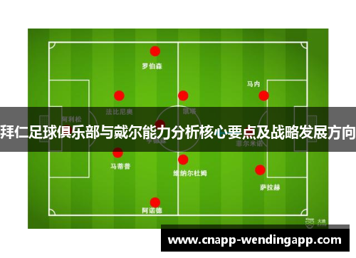 拜仁足球俱乐部与戴尔能力分析核心要点及战略发展方向