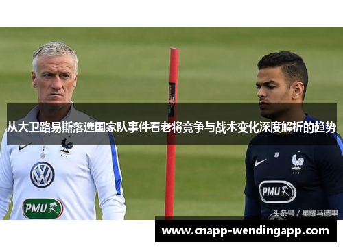 从大卫路易斯落选国家队事件看老将竞争与战术变化深度解析的趋势