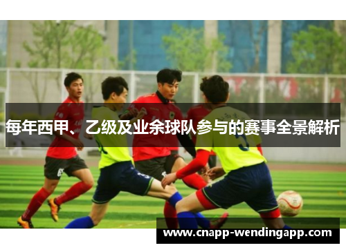 每年西甲、乙级及业余球队参与的赛事全景解析