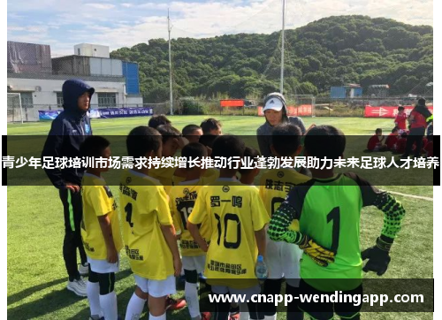 青少年足球培训市场需求持续增长推动行业蓬勃发展助力未来足球人才培养 青少年足球培训市场需求持续增长推动行业蓬勃发展助力未来足球人才培养